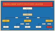 Fuzzy Decision Tree Infographics
