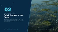 All about Water Pollution Presentation