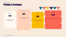 How to Start a Carnival Business Plan Presentation
