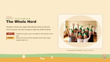 Dinosaur Birthday Party Presentation