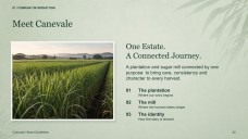 Sugarcane Plantation & Sugar Mill Presentation