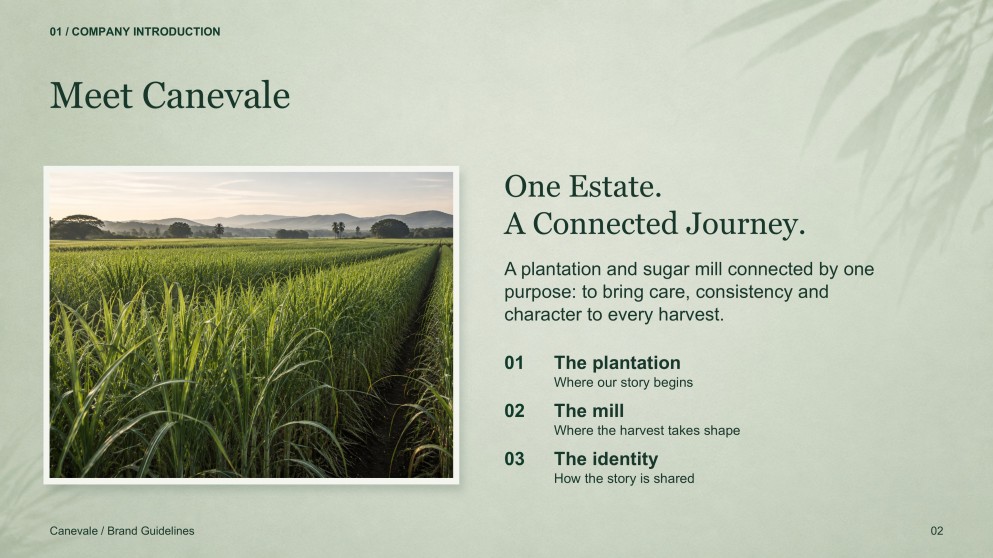 Sugarcane Plantation & Sugar Mill Presentation
