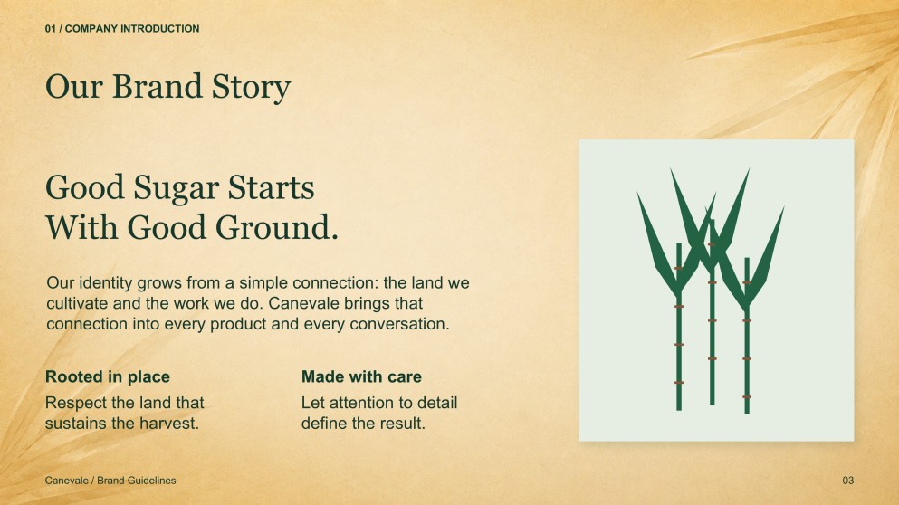 Sugarcane Plantation & Sugar Mill Presentation