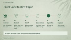 Sugarcane Plantation & Sugar Mill Presentation
