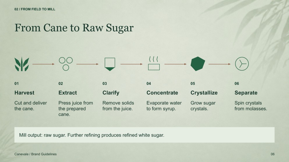 Sugarcane Plantation & Sugar Mill Presentation