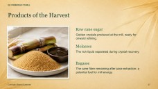 Sugarcane Plantation & Sugar Mill Presentation