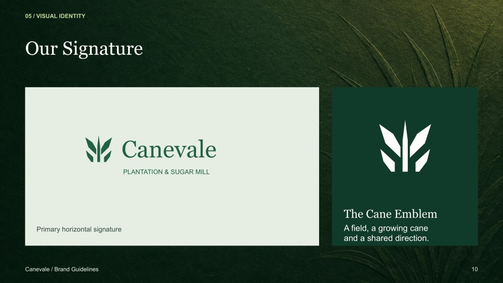 Sugarcane Plantation & Sugar Mill Presentation