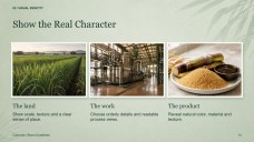 Sugarcane Plantation & Sugar Mill Presentation