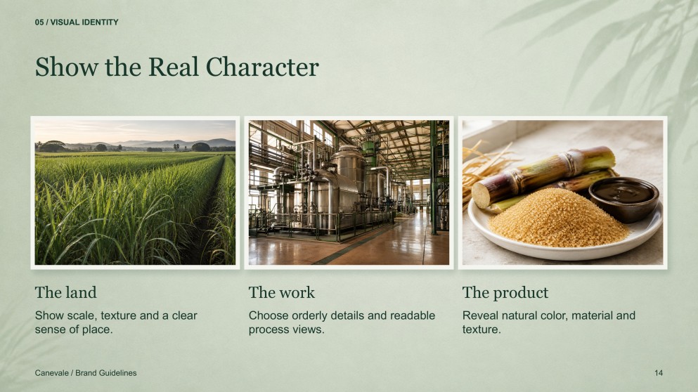 Sugarcane Plantation & Sugar Mill Presentation