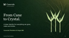 Sugarcane Plantation & Sugar Mill Presentation