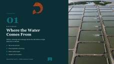 Prawn Farming Business Plan Presentation
