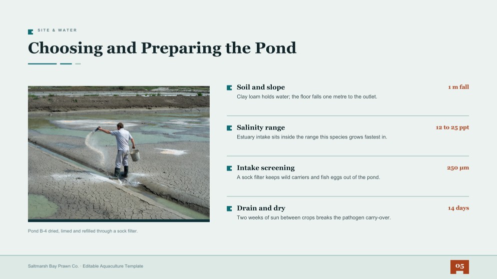 Prawn Farming Business Plan Presentation