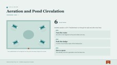 Prawn Farming Business Plan Presentation