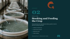 Prawn Farming Business Plan Presentation