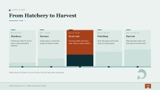 Prawn Farming Business Plan Presentation