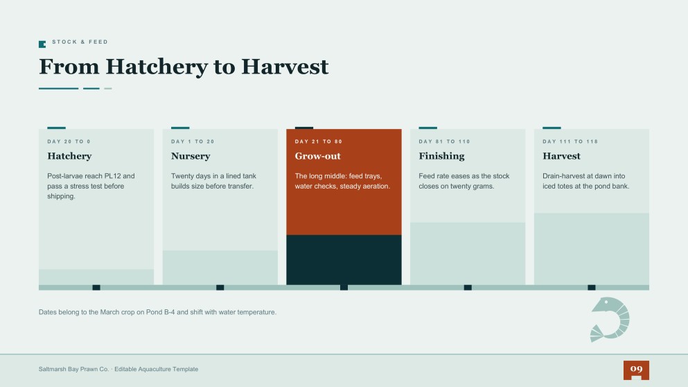 Prawn Farming Business Plan Presentation