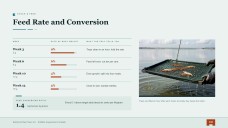 Prawn Farming Business Plan Presentation
