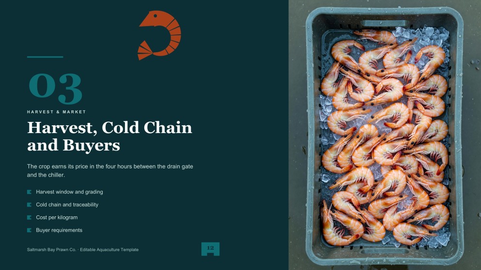 Prawn Farming Business Plan Presentation