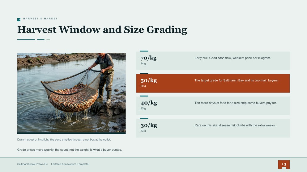 Prawn Farming Business Plan Presentation