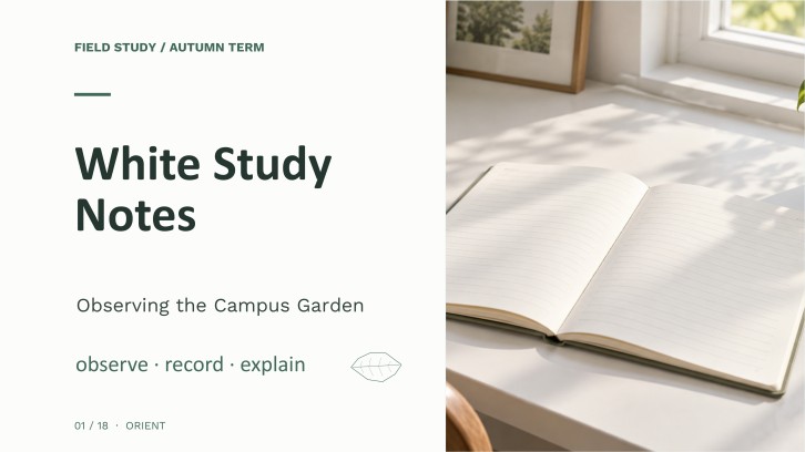 White Aesthetic Notes for School Presentation