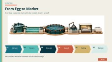 Aquaculture Company Profile Presentation