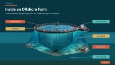 Aquaculture Company Profile Presentation