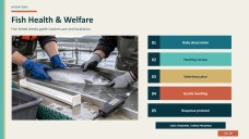 Aquaculture Company Profile Presentation