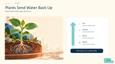 Biology Subject for Pre-K: The Water Cycle Presentation