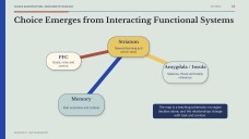 Psychology of Decision-Making Presentation